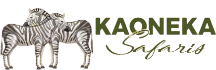 Kaoneka Safaris