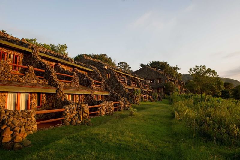 serenangorongoro-188